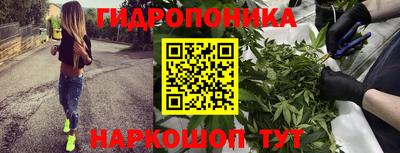 стаф Славгород