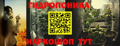 стаф Славгород