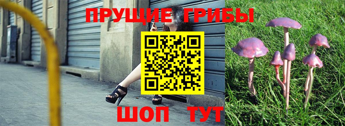 Галлюциногенные грибы Psilocybe  купить закладку  Муравленко  Вход с VPN 